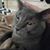 Ressa Kinnear's profile image