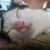 Peter Jamie Godino's profile image