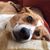 Jodi Gustafson's profile image