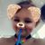 Kimberly Shaw's profile image