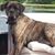 Jessie Huebner's profile image