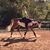 Megan Burdick's profile image