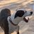 John McCormick's profile image
