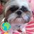 Rankyong Oh's profile image