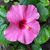 JoAnne Gardipee Bort's profile image