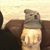 Josh Bear's profile image