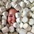 Carrie Cardamone's profile image