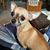 Stacy Sugrue-Dugan's profile image