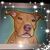 Wanda Bingham-Waite's profile image