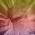 Gail R Ford's profile image