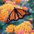 Angelica Gallegos's profile image