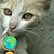 Maria Villegas's profile image