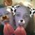 Liz Simmons-Lawson's profile image