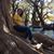 Lu Mendez's profile image