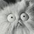 Brian George's profile image