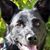 Nancy Gilles's profile image