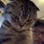Robert Chou's profile image