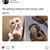 Courtney Neves's profile image