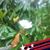 Deborah L La Placa's profile image