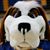 Bernard A. Saint's profile image