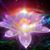 Ajay Mishra's profile image