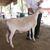 Myra Bamberger's profile image
