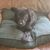 Randy Karle's profile image