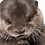 Bowman Couey Mandy's profile image