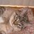 Ruth Michels's profile image