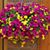 Brigitte Norlander's profile image