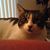 Gayle Wright's profile image