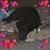 Stephen McHenry's profile image