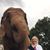 Ginger Jewell's profile image