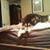 Kelly Chorney's profile image
