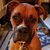 Lolie Fabela's profile image