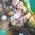Cynara Bueno's profile image