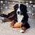 Paula Newkirk Smith Westphal's profile image
