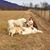 Sarah Donahoe's profile image