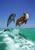 Aileen Z.'s profile image