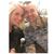 Kimberly Bell Hobbs's profile image