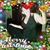 Monica Latez's profile image