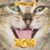 Alisa Mercer's profile image