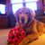 L Britt Greene's profile image