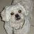 Richard Marazzo's profile image
