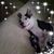 Lynne Scranton Falanga's profile image