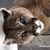 Tawni Swanson's profile image