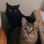 John N Tina Fisher's profile image