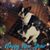 Melissa Piette Rivet's profile image