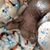 Bonnie Ulmer's profile image