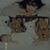 Terrie Samples's profile image